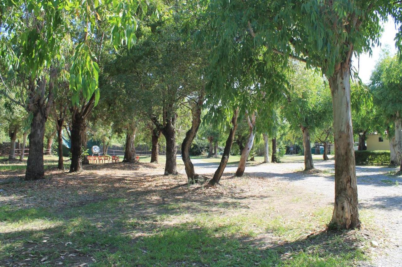 Villaggio Camping Maratea Dış mekan fotoğraf